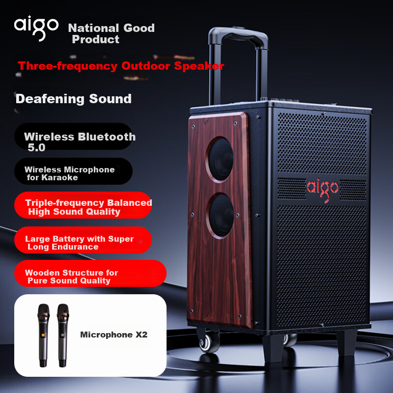 Aiguozhe S610 10-Inch Heavy Bass Speaker