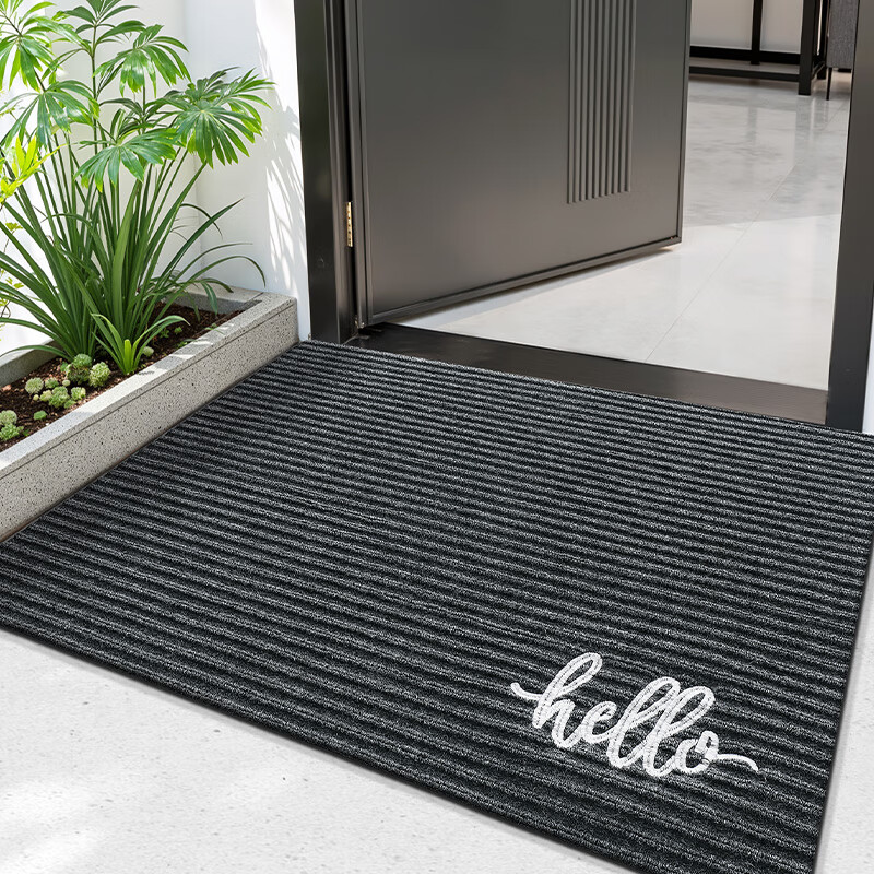 DeXi Entryway Mat - High-End Elegant Carpet