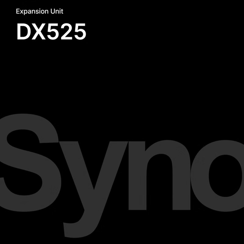 Synology DX525 NAS Storage Server