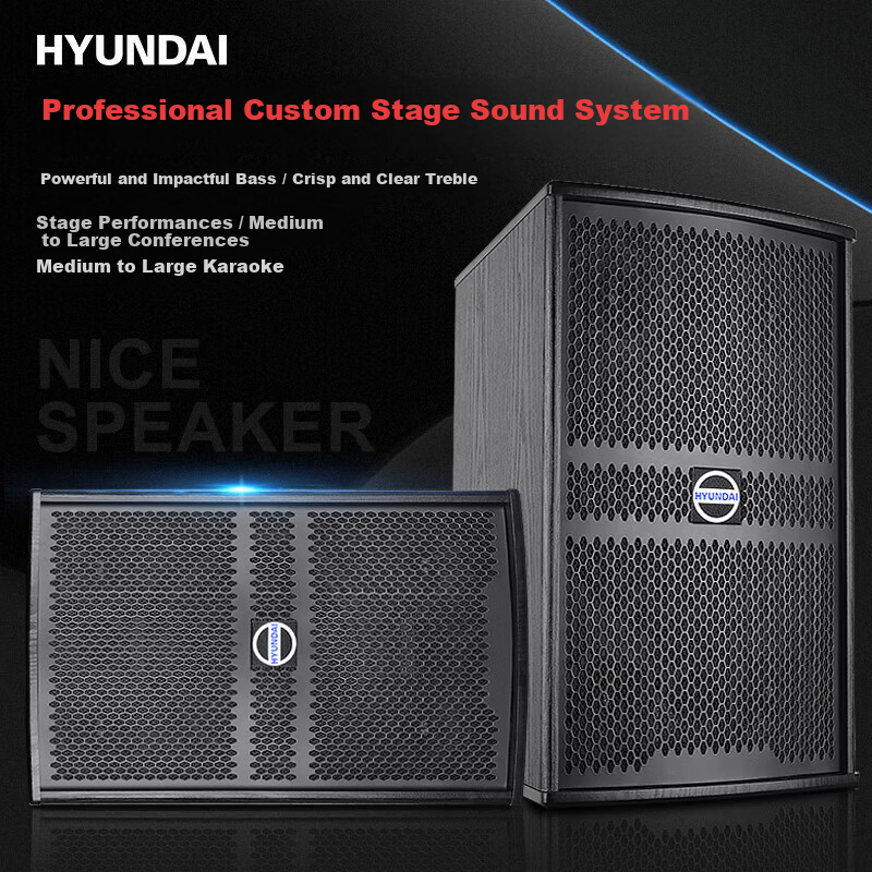 HYUNDAI Professional 10-Inch Home Theater KTV Speaker