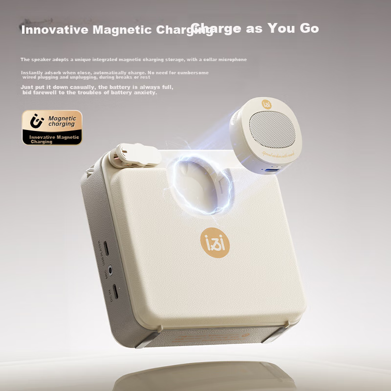 Soaiy S6 Wireless Magnetic Amplifier