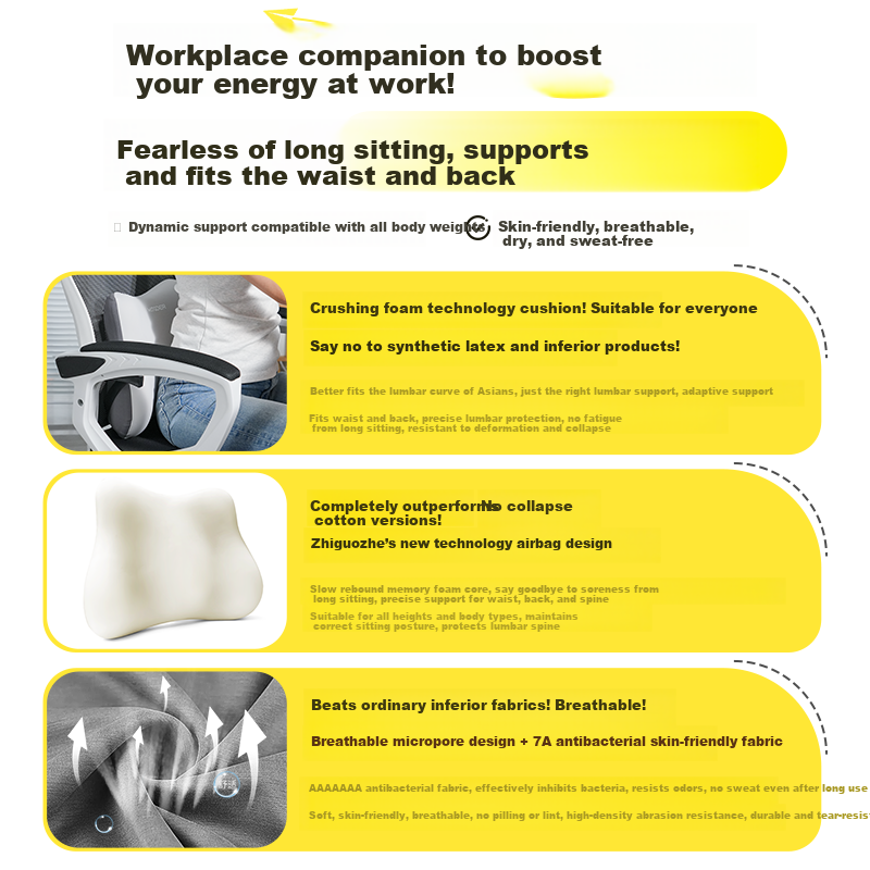 Zhiguozhe Professional Lumbar Support Cushion