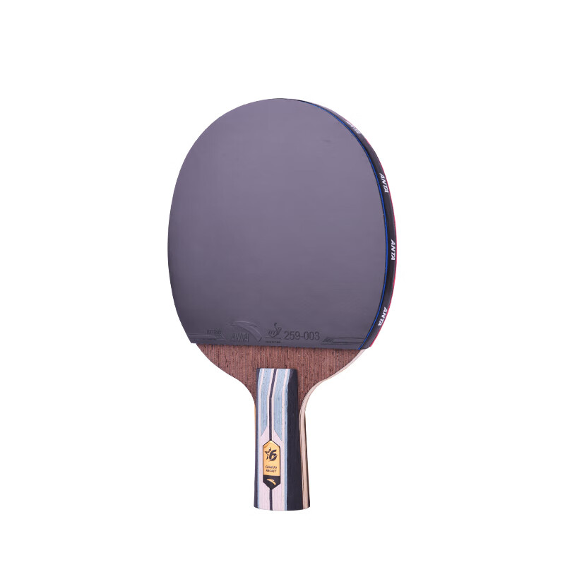 Anta 6-Star Table Tennis Racket with 6 Balls