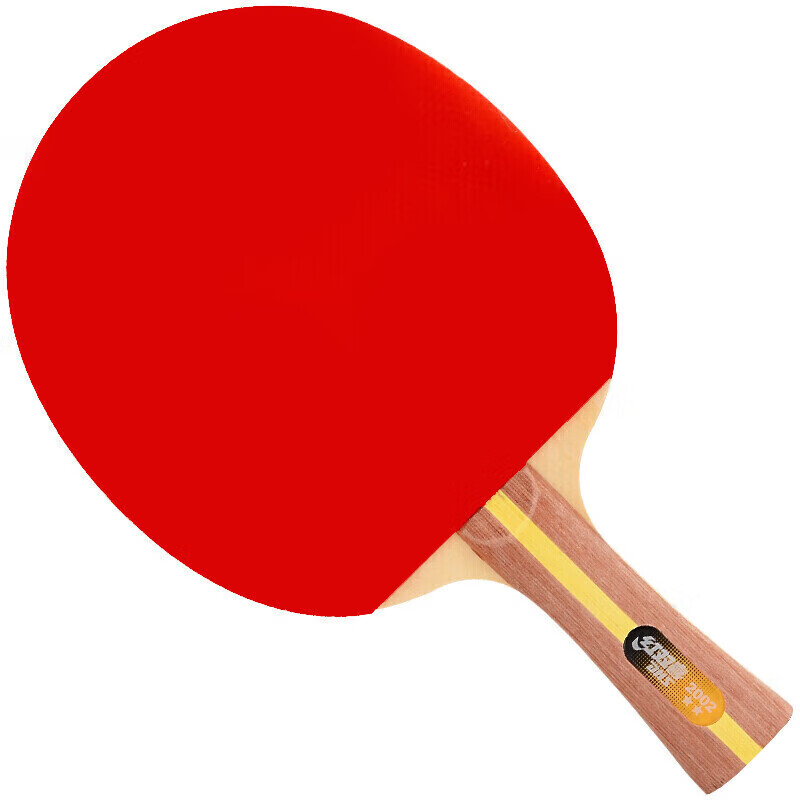 DHS H2002 2-Star Inverted Rubber Table Tennis Racket
