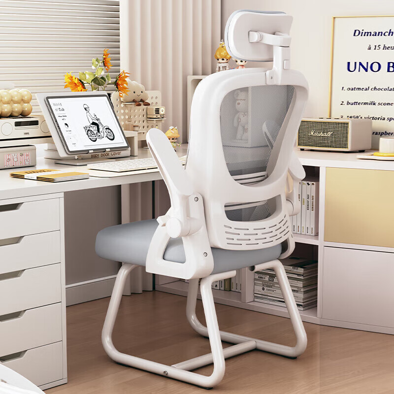 Xiangzhubian Ergonomic Gaming Study Chair