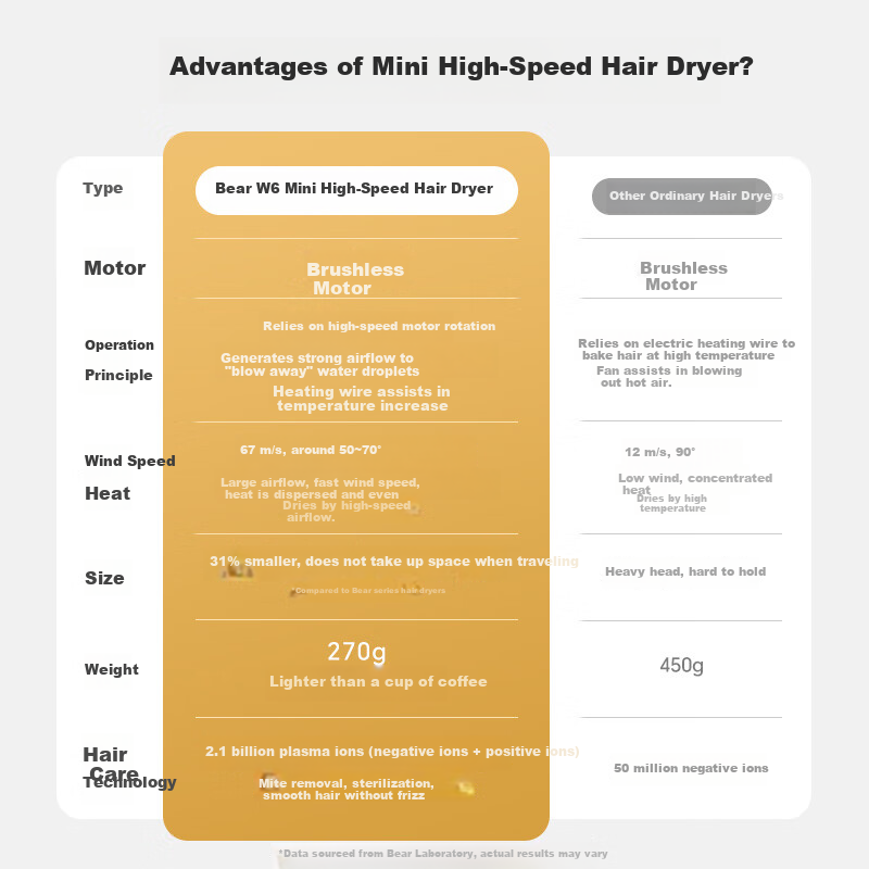 Bear High-Speed Plasma Hair Dryer