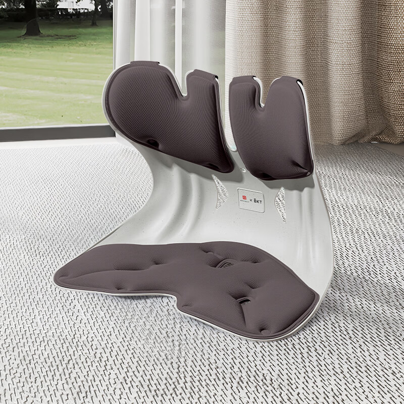 BKT Ergonomic Lumbar Support Cushion