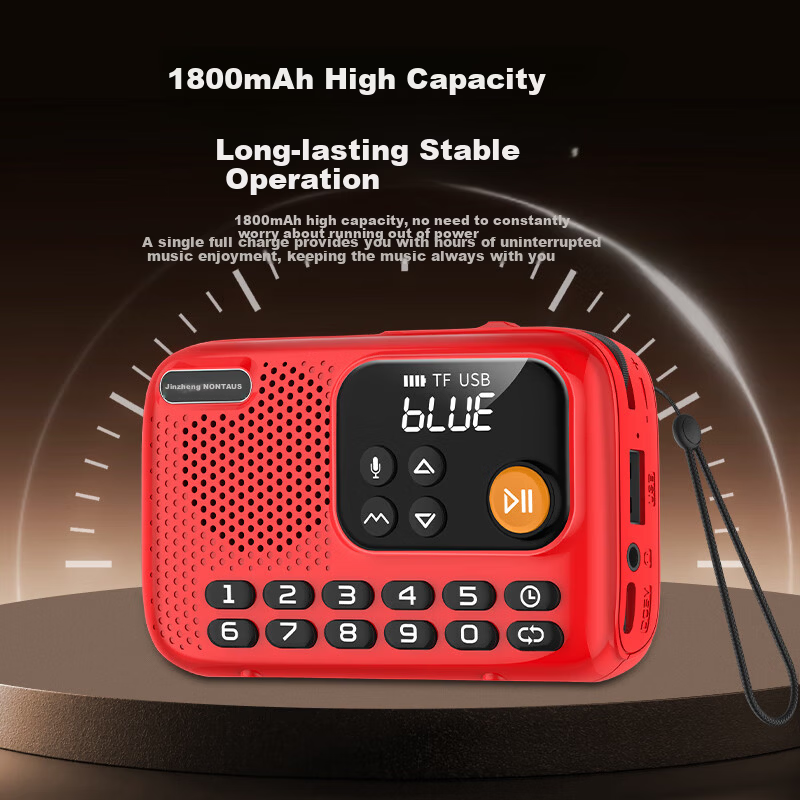 NINTAUS Jinzheng C17 Elderly Radio