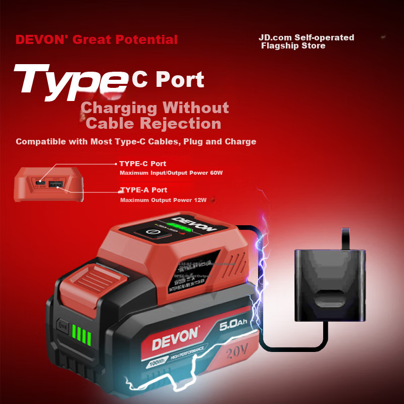 Devon 20V Multi-Function Charger