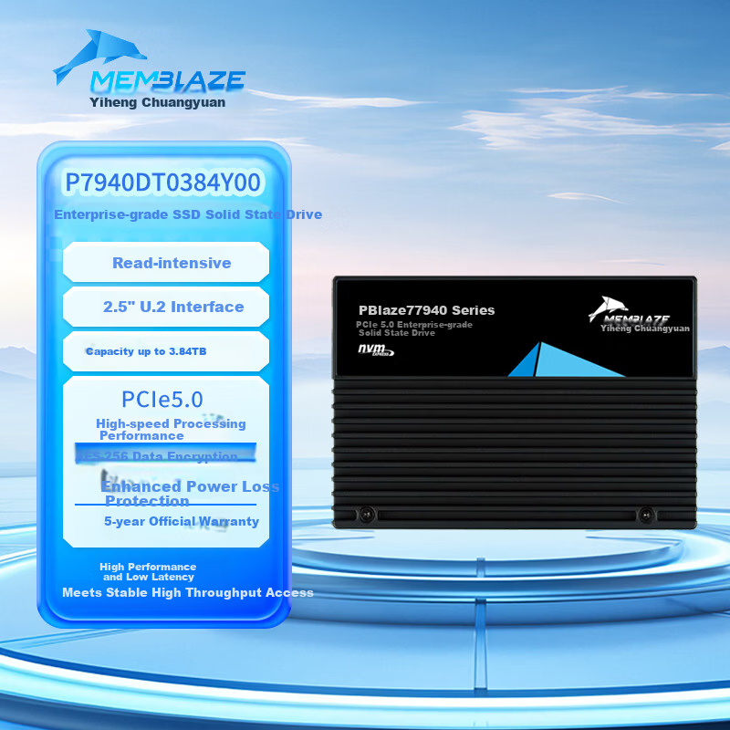 Memblaze Little Dolphin SSD