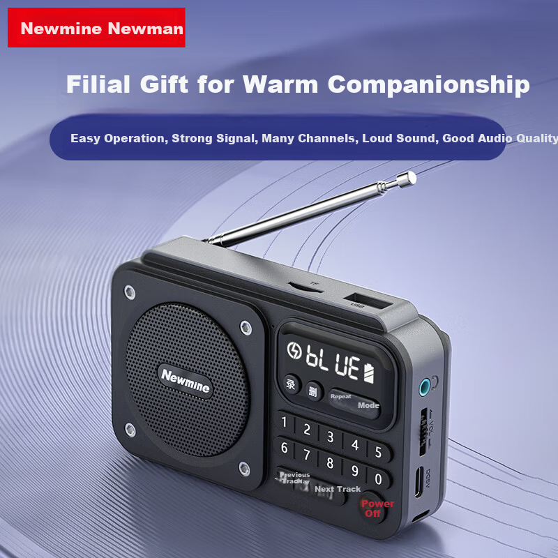 Newmine N123 Portable Mini Radio Player