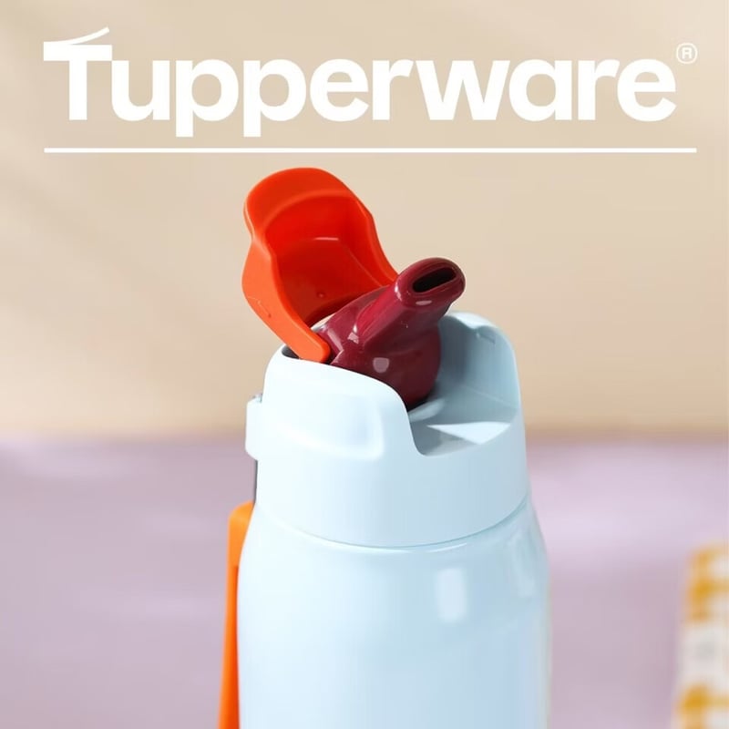 Tupperware Marcalan 510ml Insulated Straw Water Bottle