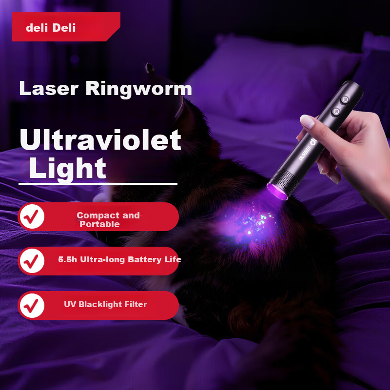 Deli UV Laser 2-in-1