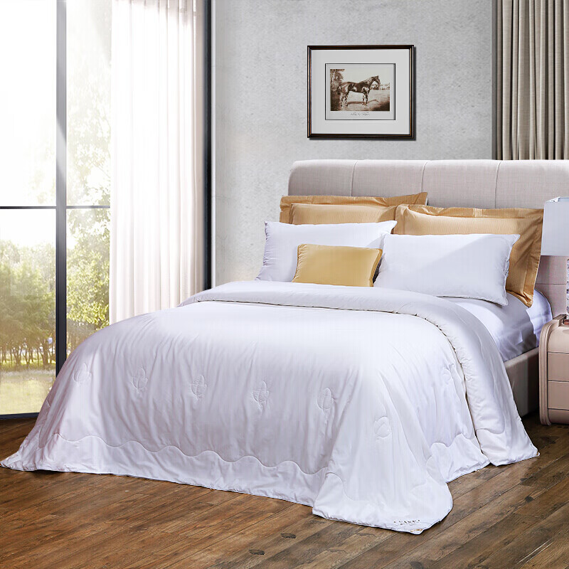 FUANNA 100% Silk Comforter - All-Season Luxury