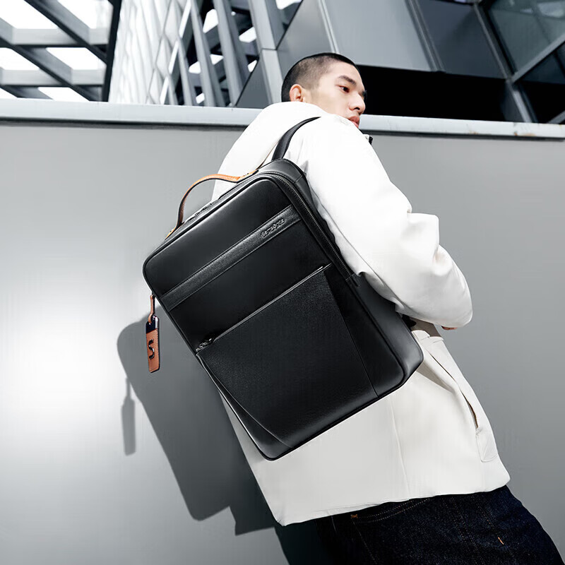 Samsonite Men's 14-Inch Business Backpack