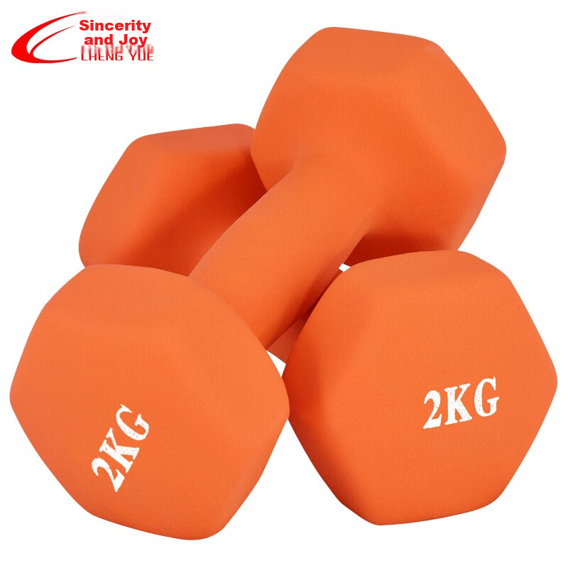 Chengyue Vibrant Dumbbells - Perfect for Home Fitness