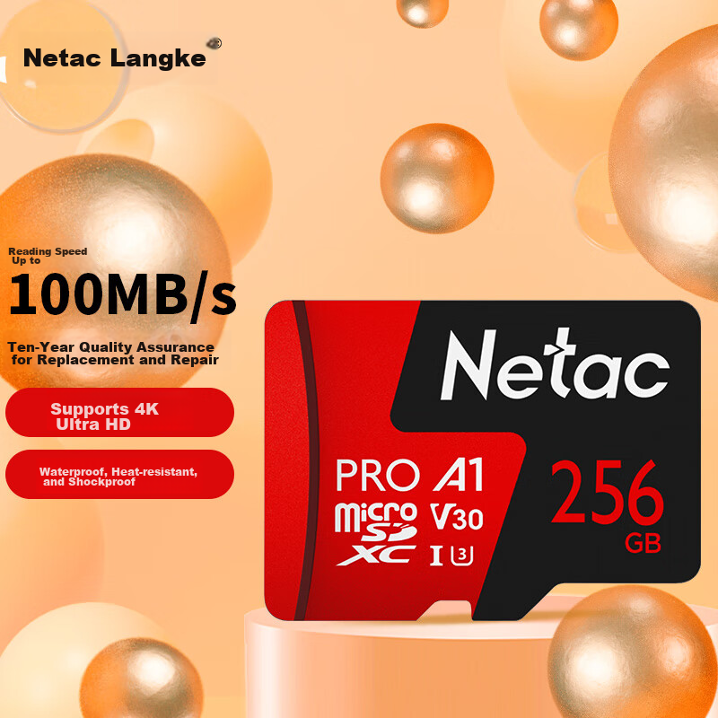 Netac 256GB TF MicroSD Card A1 U3 V30
