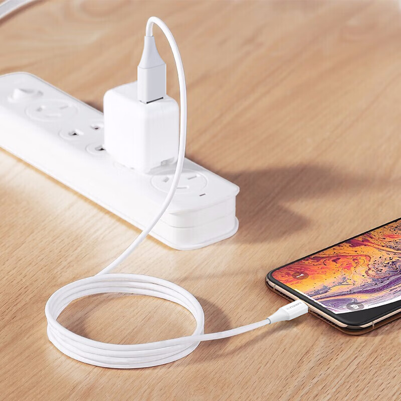 PISEN Apple Lightning Charging Cable for iPhone 14/13/12/X