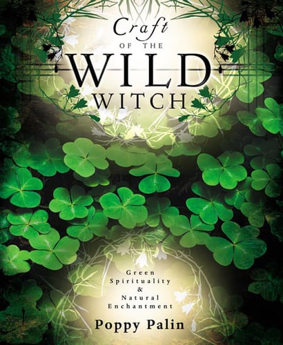 Craft of the wild witch - green spirituality and natural enchantment_0