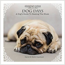 Dog Days : A Dog’s Guide to Beating the Blues_0