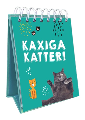 Kaxiga katter_0