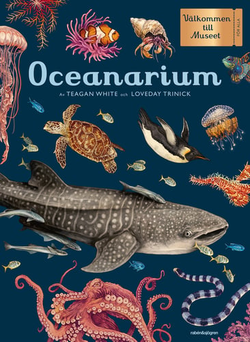 Oceanarium - picture