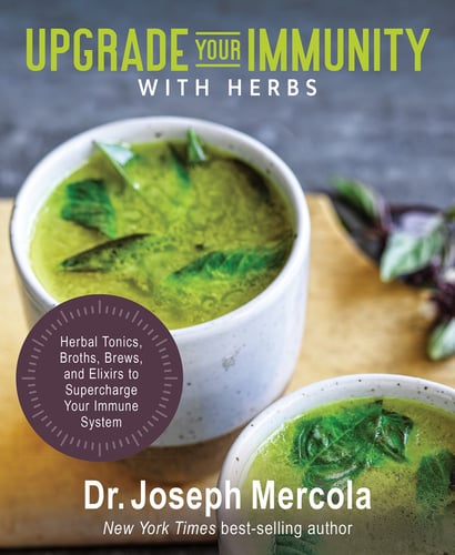 Upgrade Your Immunity with Herbs - picture