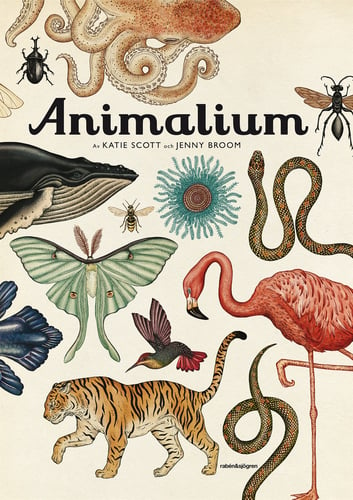 Animalium - picture