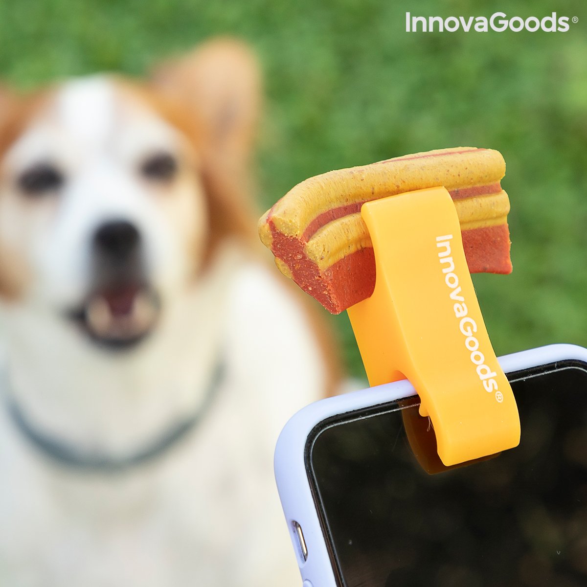 Selfie Clip for Pets Pefie InnovaGoods_36