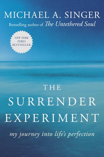 The Surrender Experiment - picture
