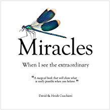 Miracles : When I See The Extraordinary 1 stk_0