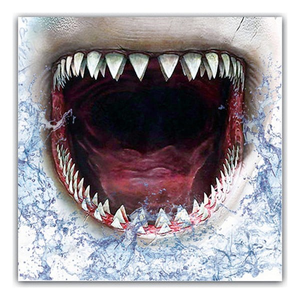 Hygienic Reusable Fabric Mask 6-9 years Shark_2