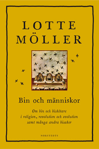 Bin och människor : om bin och biskötare i religion, revolution och evolution samt många andra bisaker - picture