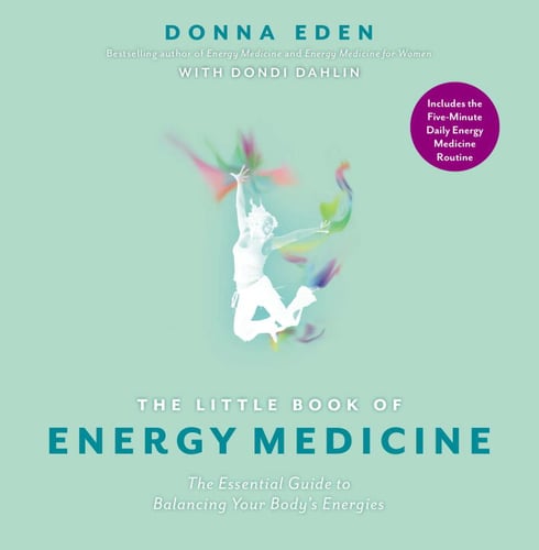 The Little Book of Energy Medicine - picture