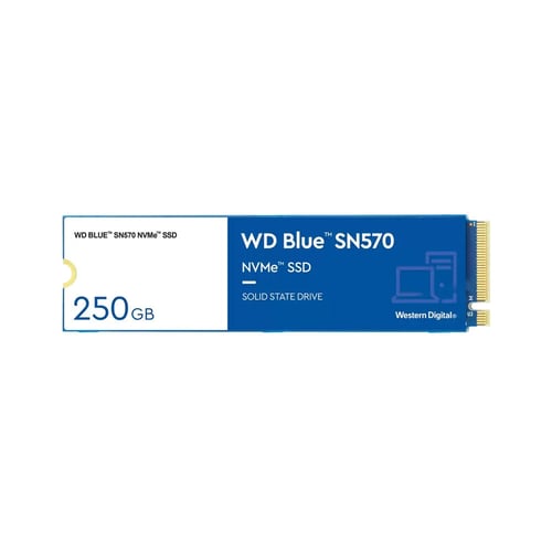 Harddisk Western Digital BLUE 250 GB SSD_5