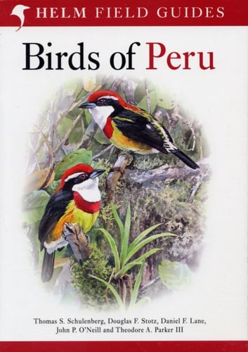 Birds of Peru - picture