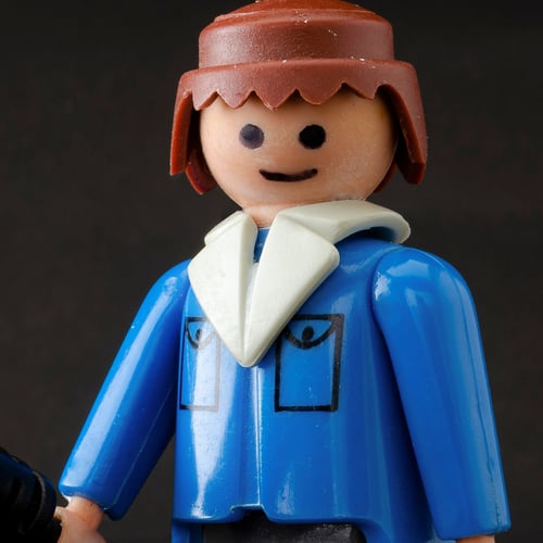 Playmobil subcategory picture