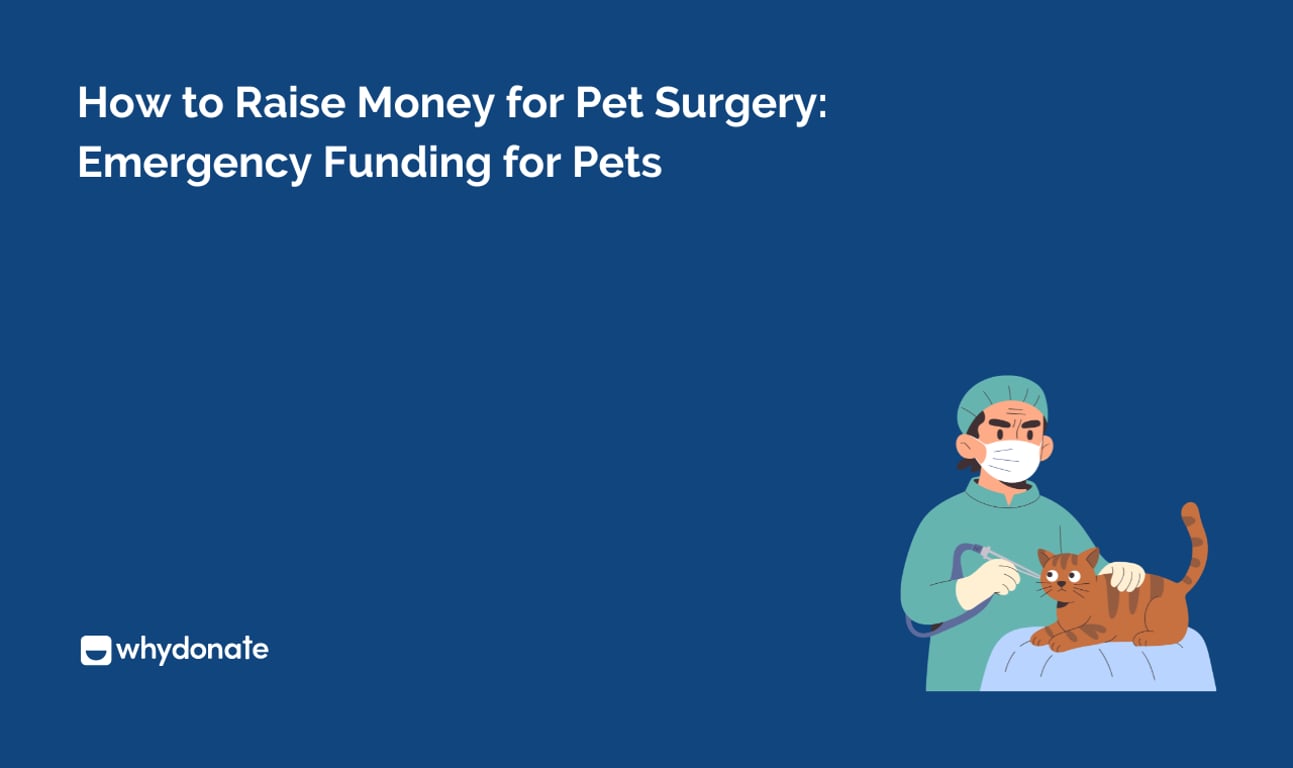 How to Raise Money for Pet Surgery: Practical Tips, Tools & Fundraising Ideas