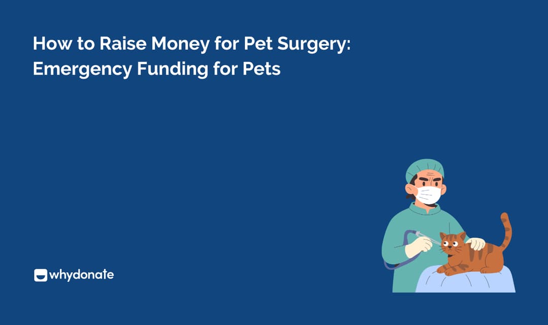 How to Raise Money for Pet Surgery: Practical Tips, Tools & Fundraising Ideas