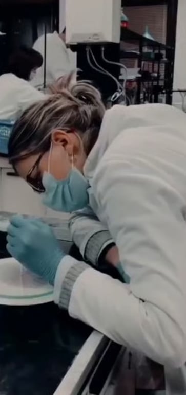 Student working in a university lab
