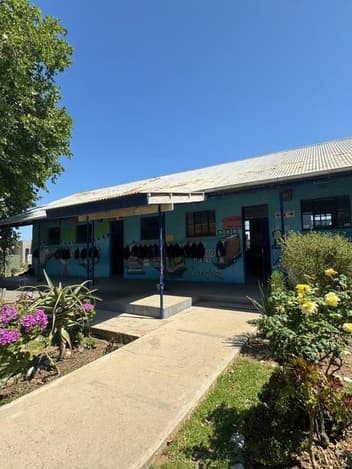 Primary school building with a garden