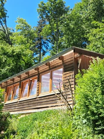 Wooden school building in the forest