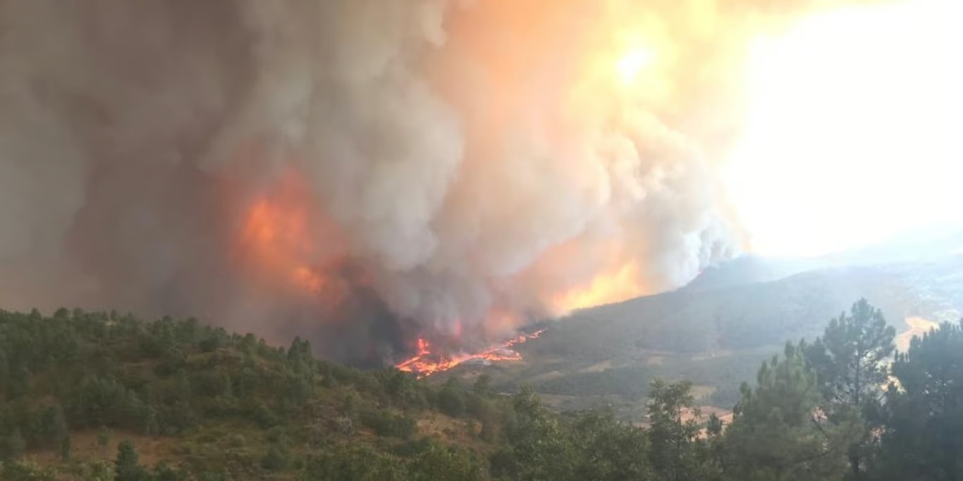 Wildfire spreading across the hills