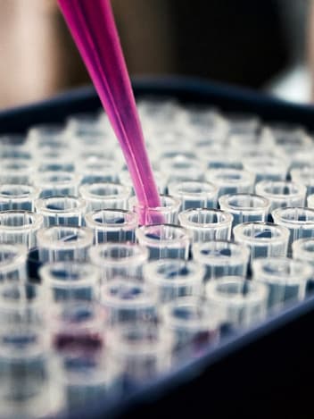 Scientist examining samples