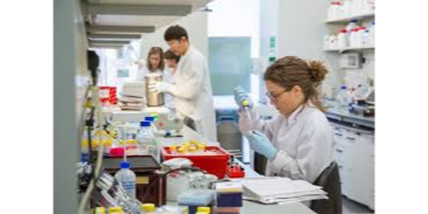 Scientist reviewing cell scans on screen