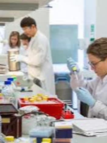 Scientist reviewing cell scans on screen