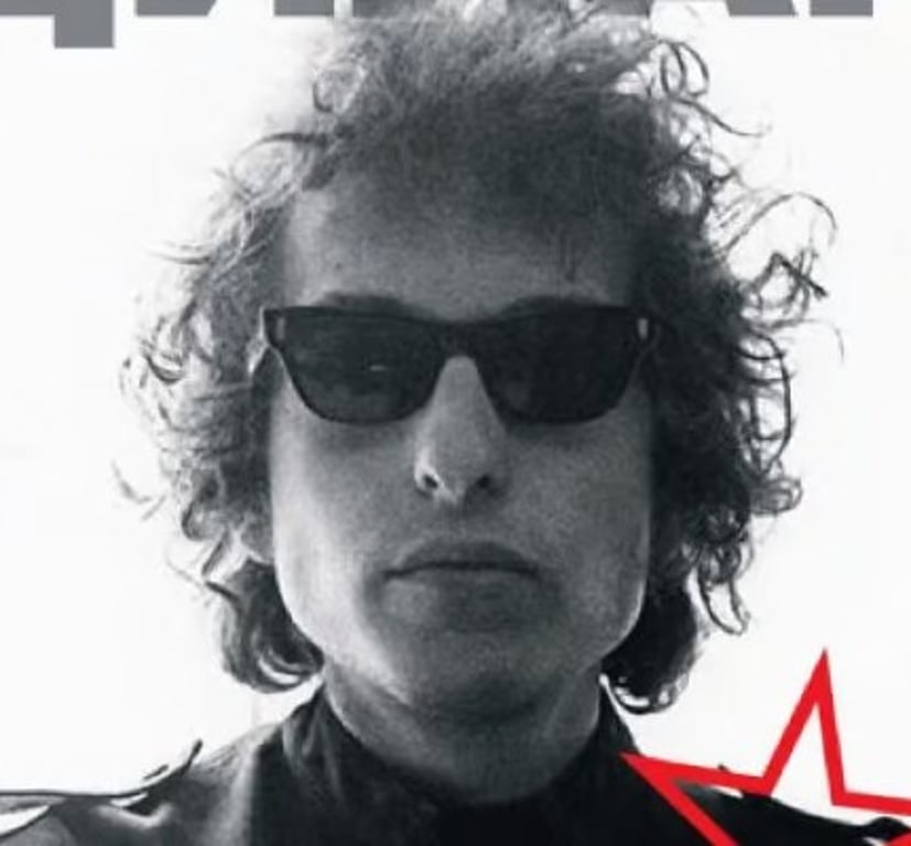 Portrait of a musician in sunglasses