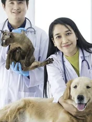 Vets caring for a cat and a dog