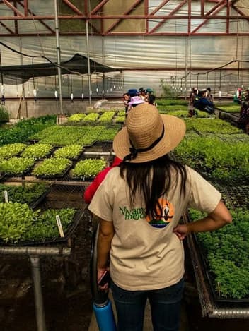 Community members in a plant nursery greenhouse
