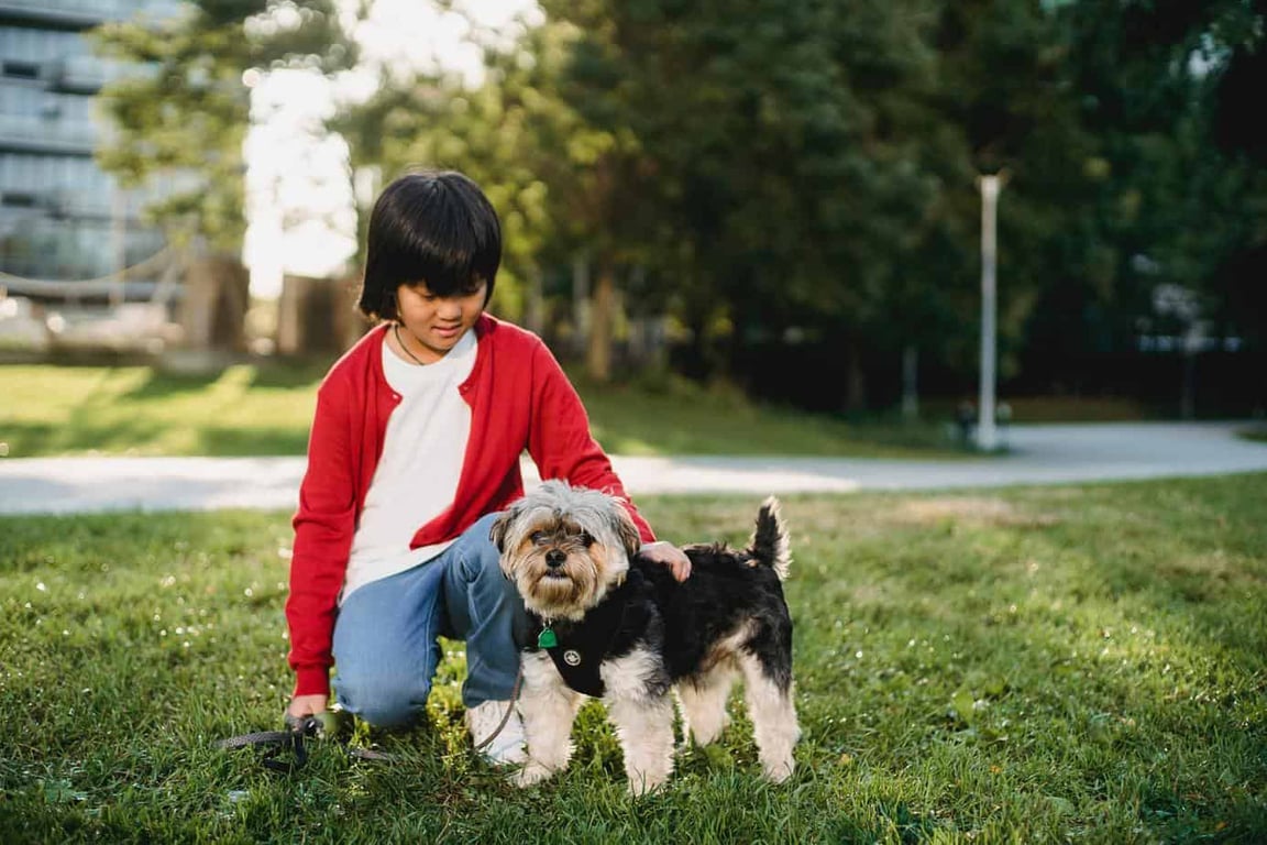 Fundraising for animal shelters - pets and kids